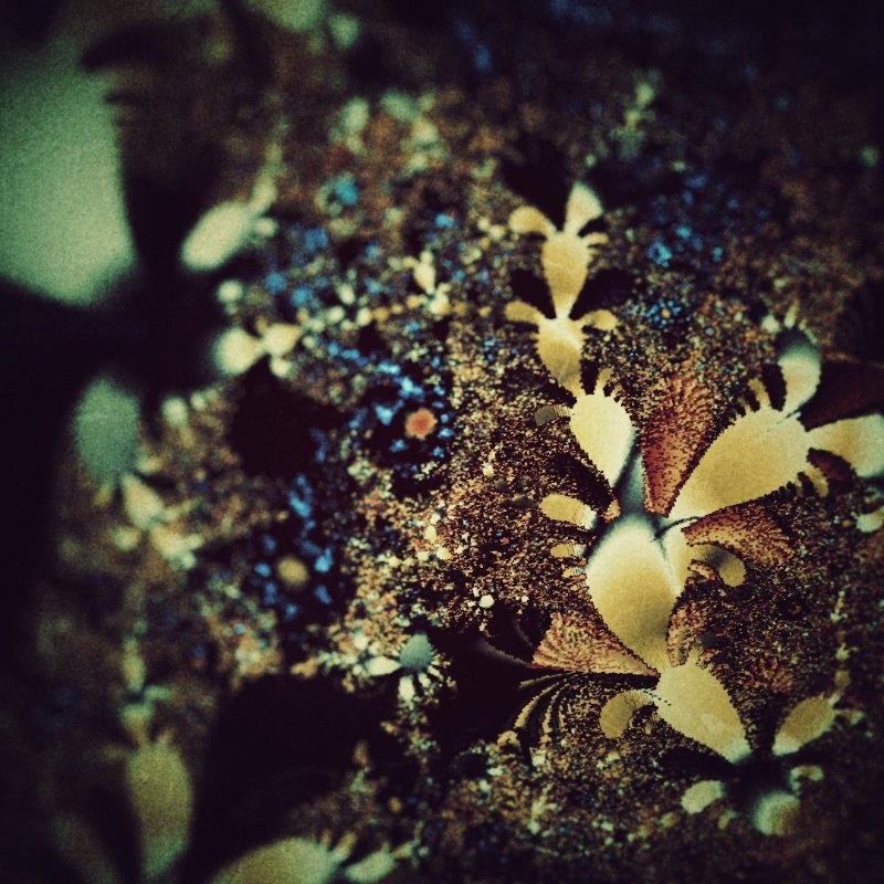 grainie_'s tweet image. #fractal