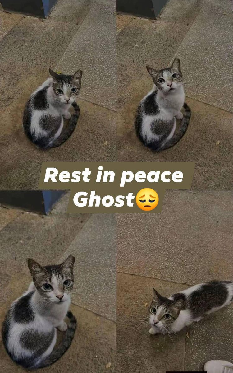 Jessica ❤️ tweet media