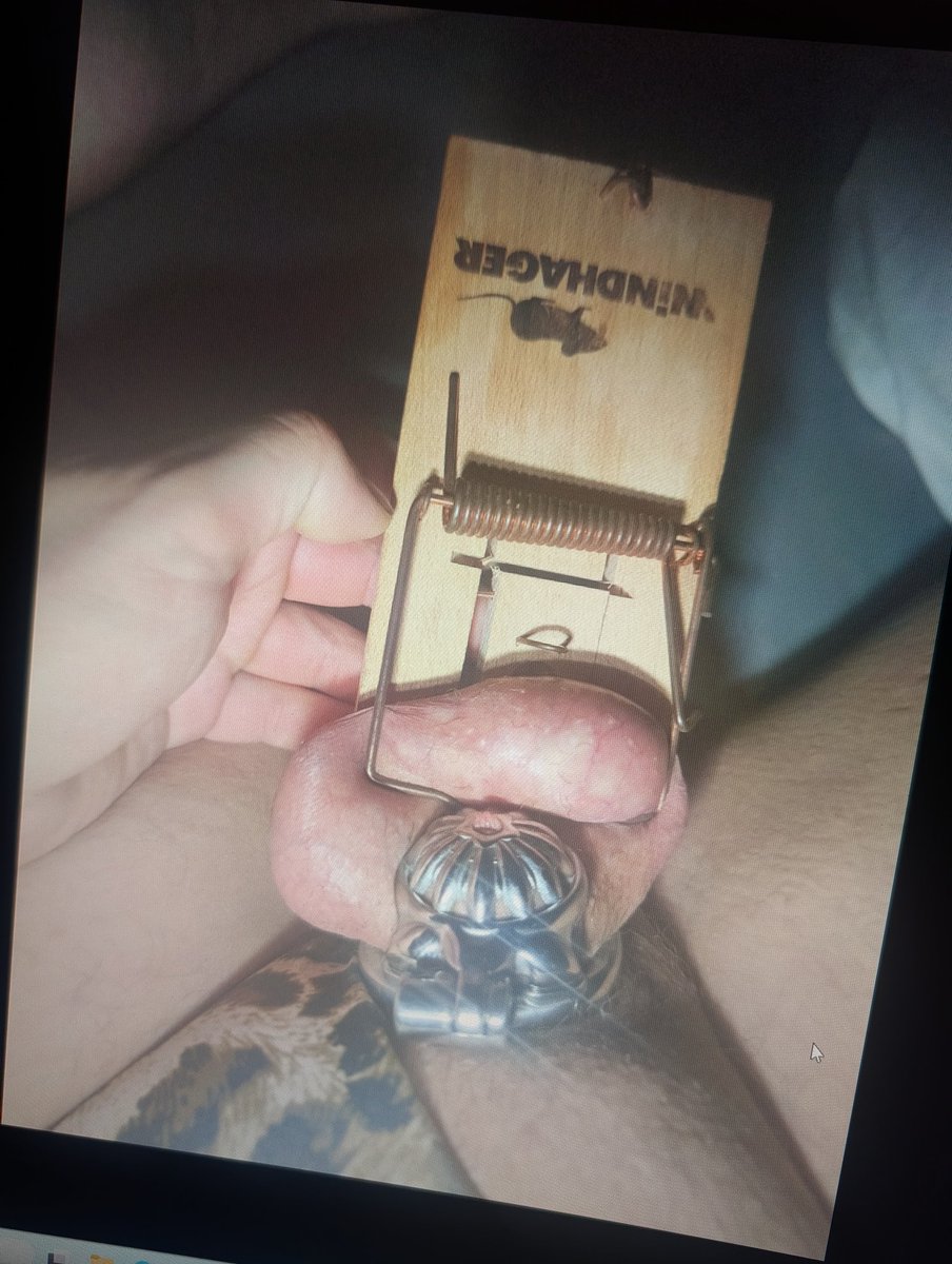 beauty-of-pain tweet media