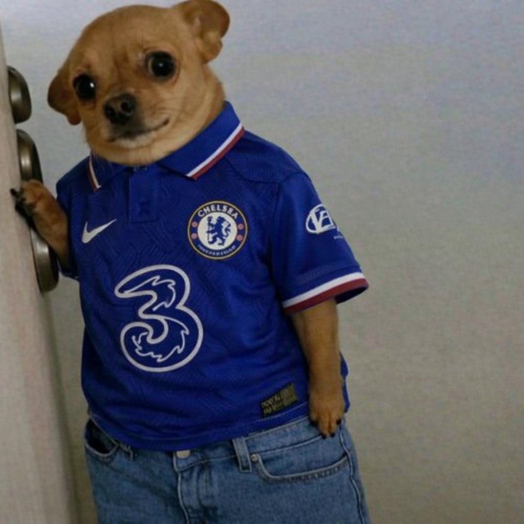 𝖤𝖼𝗈𝗇𝗈𝗆𝗂𝖼 𝖲𝖺𝖻𝗈𝗍𝖾𝗎𝗋 tweet media