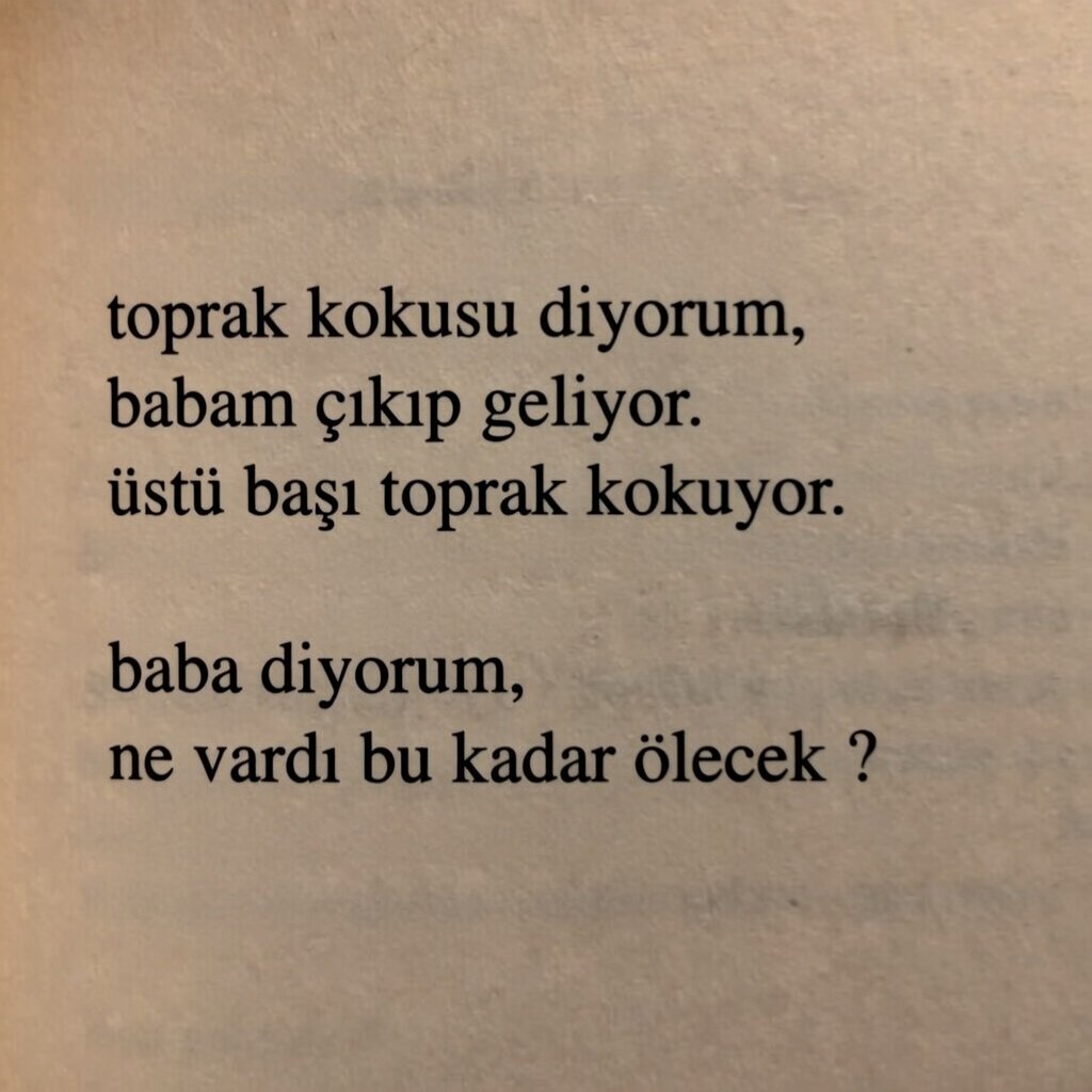 Kırrıko tweet media