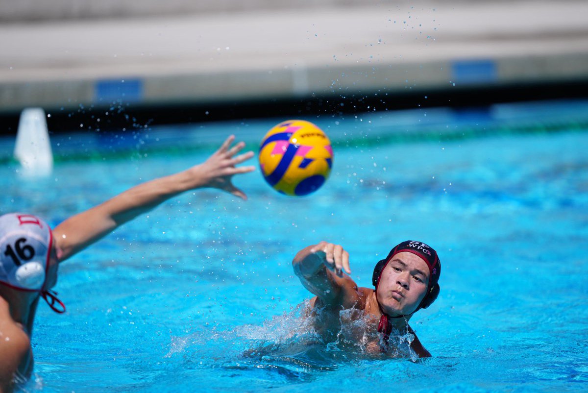USA Water Polo tweet media
