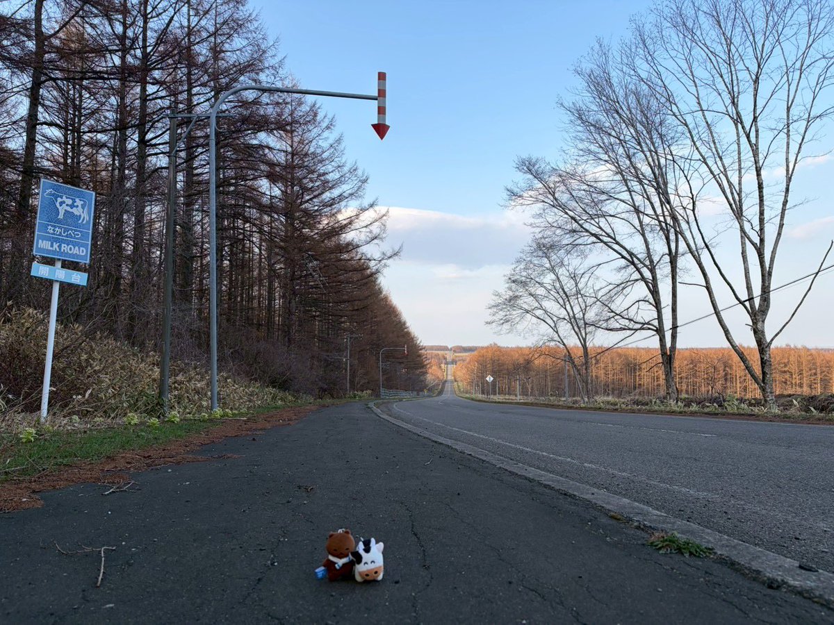 しゃーくれ@35周年車RF tweet media