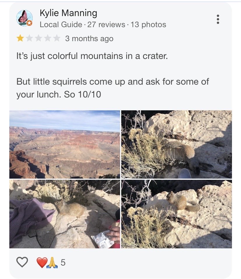 Carmen DeSousa tweet media