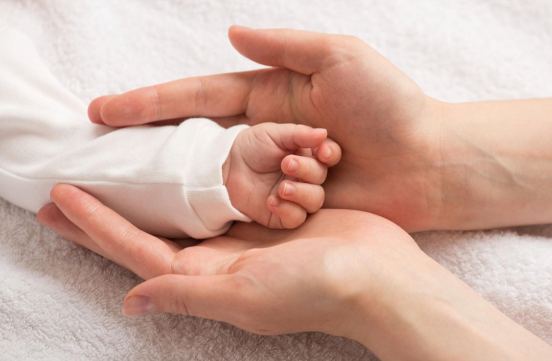 SakuraPawss8's tweet image. Future = families. No kids, no tomorrow. Simple.

#BirthRate #Future #FamilyFirst #Population #Europe #Demographics #NextGen #Society #Growth