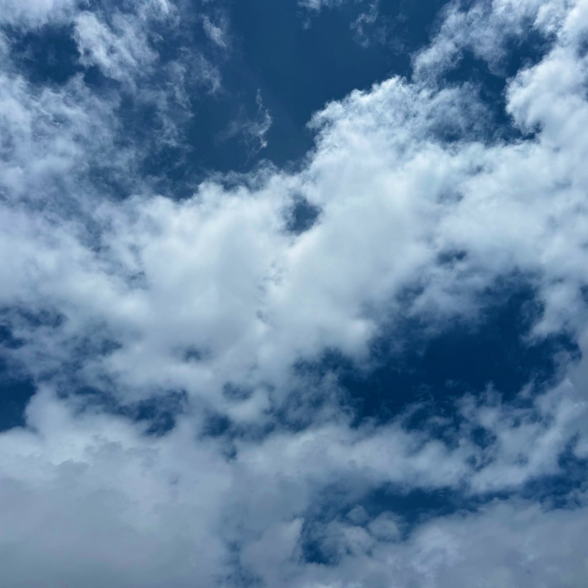 imagine works tweet media