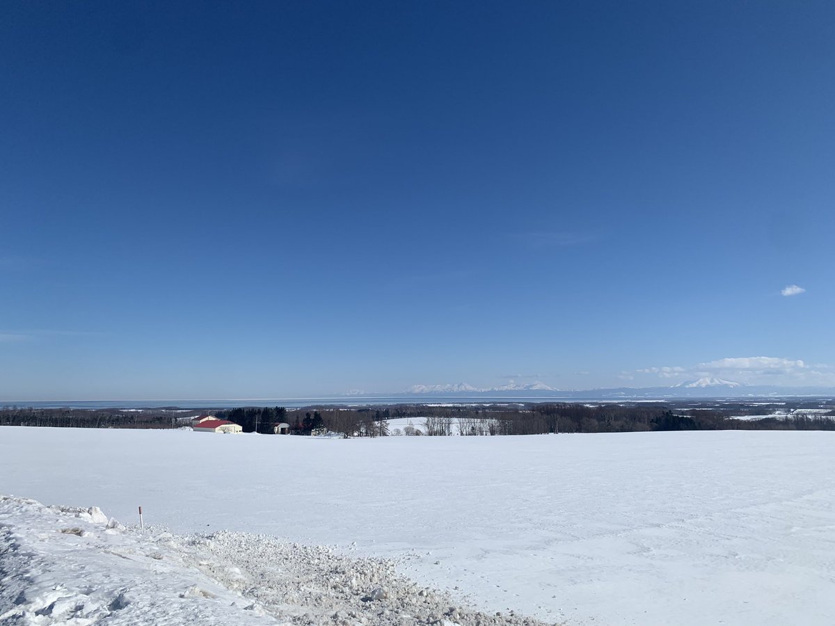 12月の風💙💛 🐰💘🙈💕🌻🐸🐝🦋 tweet media