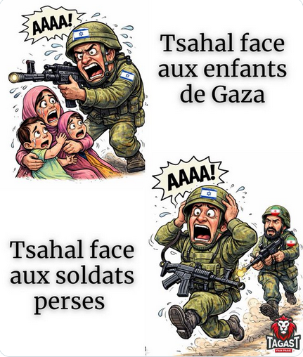 Loless Nter tweet media