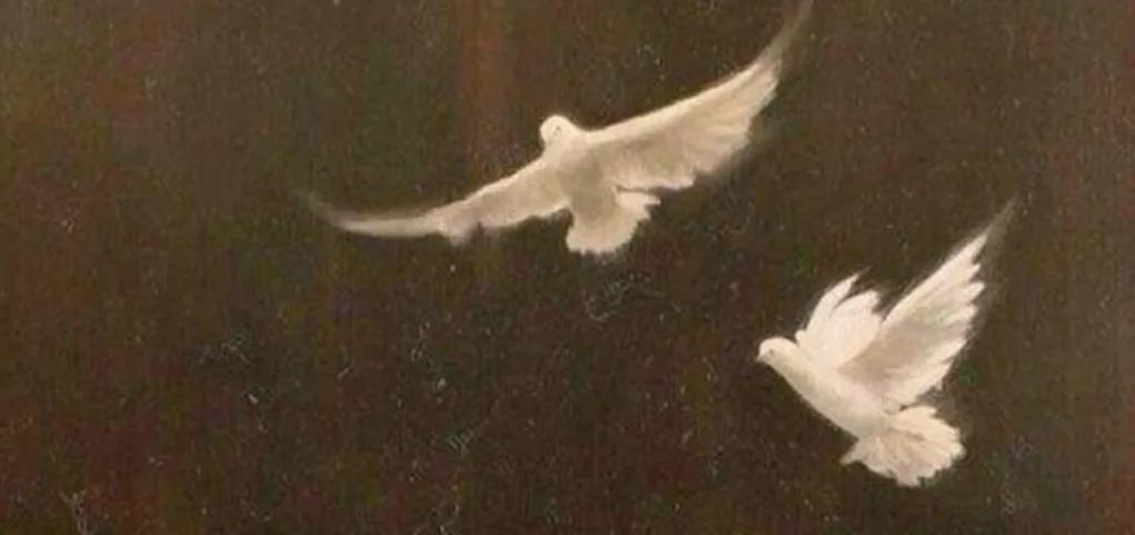 علي الكحلاني tweet media