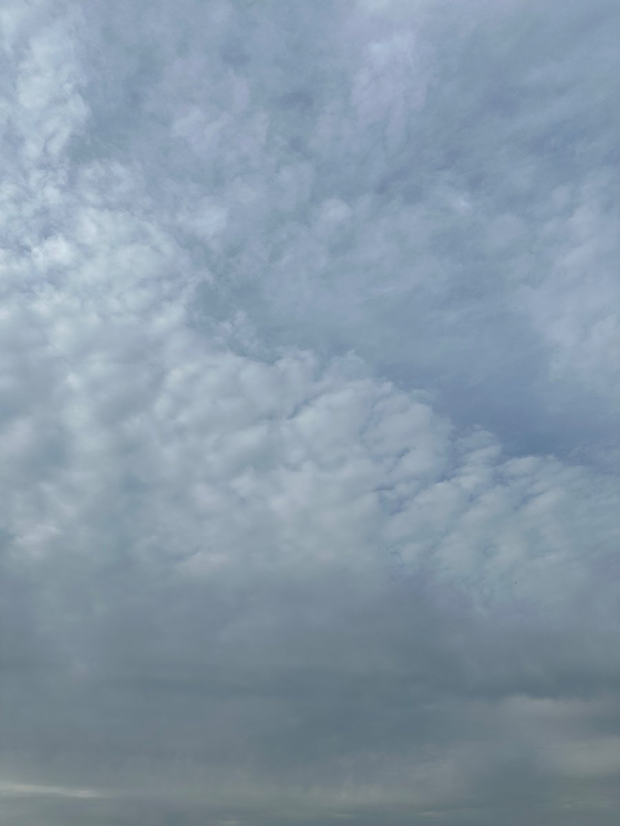 おはようございます☀️☁️