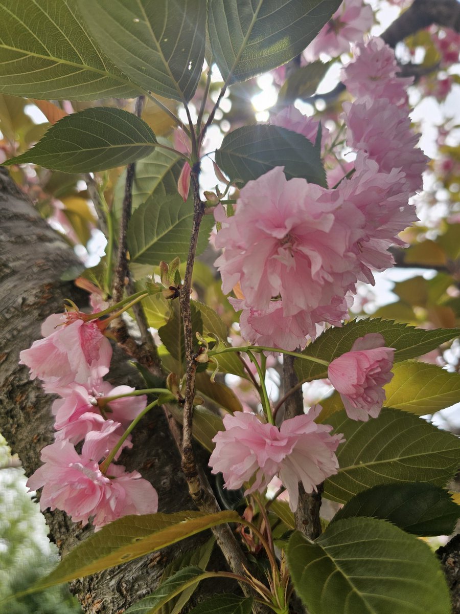 なーちゃん🌈 tweet media