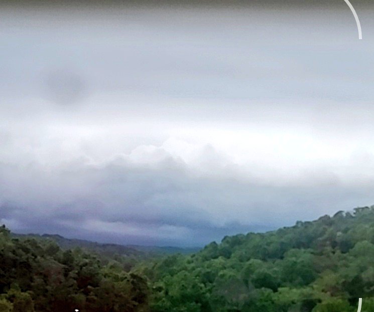 Cat_Man_Dew tweet media