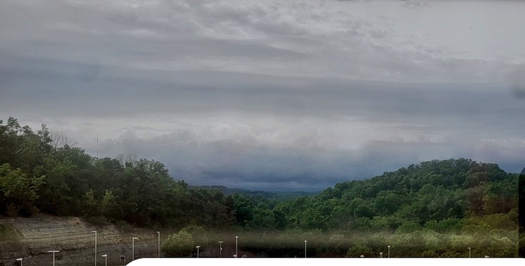 Cat_Man_Dew tweet media