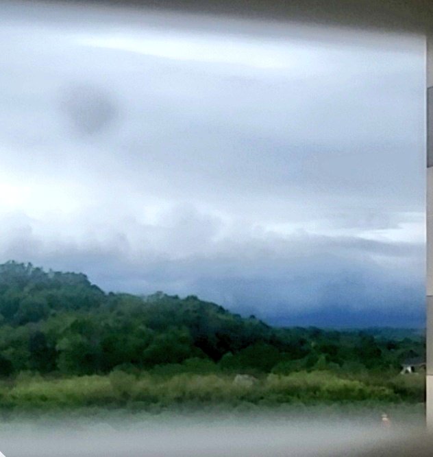 Cat_Man_Dew tweet media