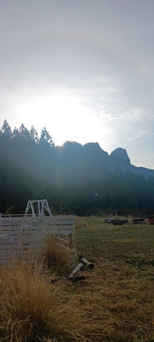 大益  羅 tweet media