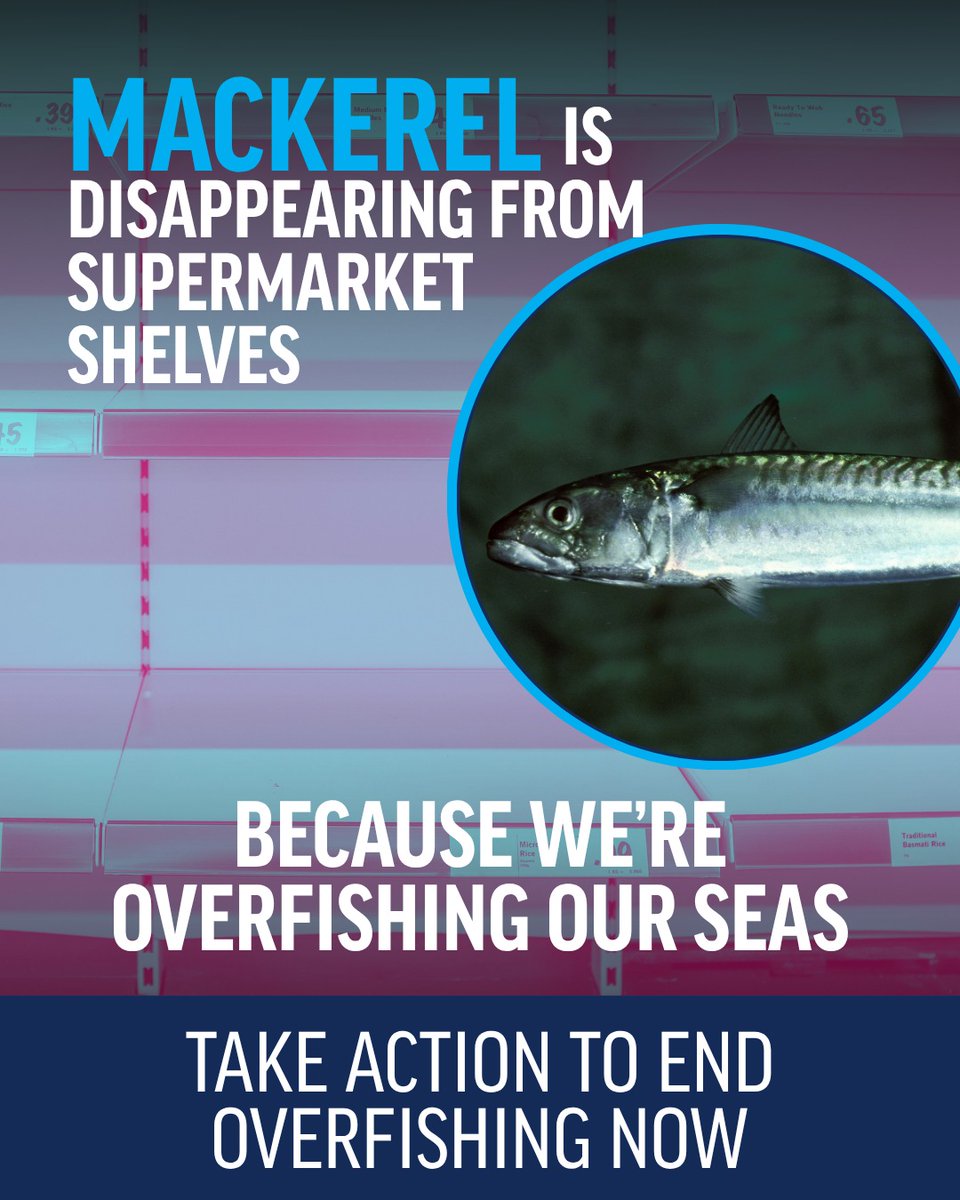 Oceana UK tweet media