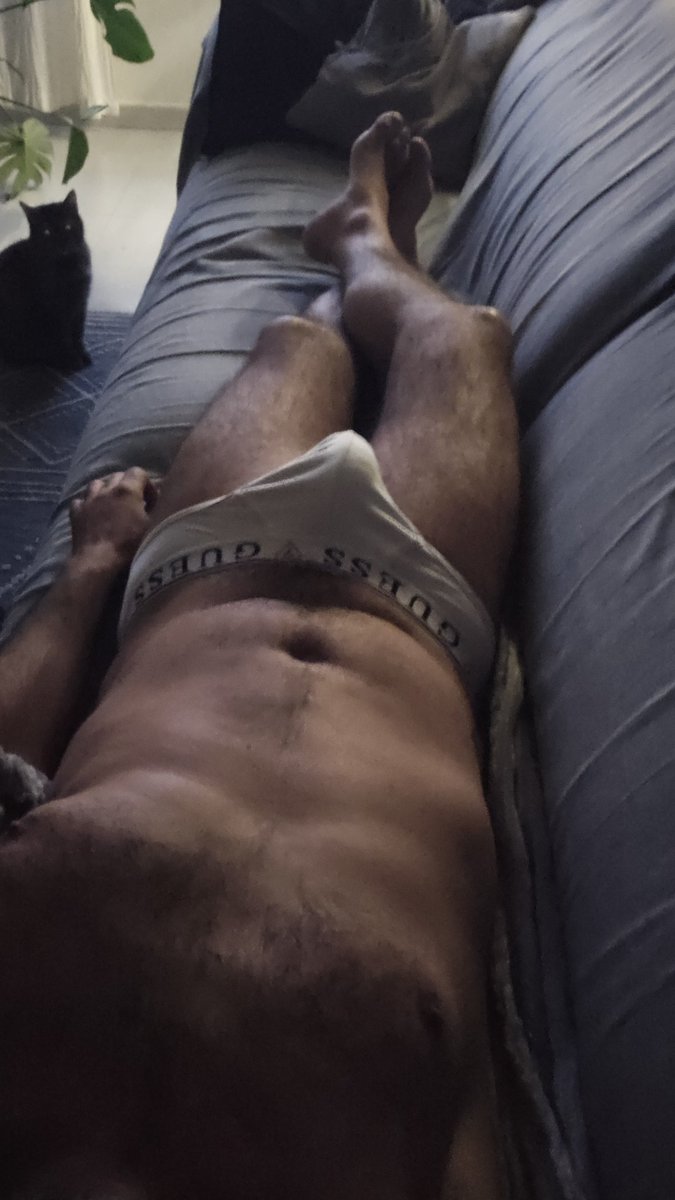 ⭐🐙🇪🇺 tweet media