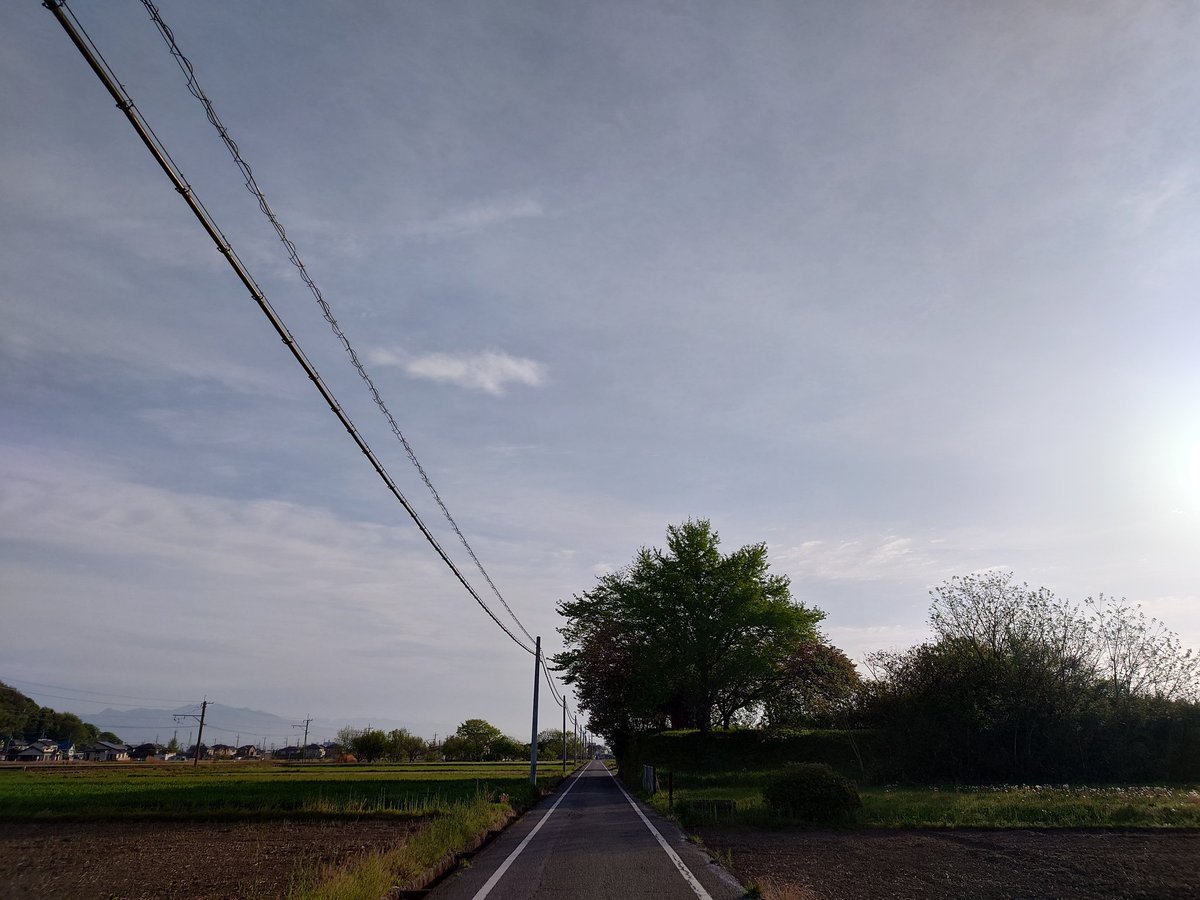 pingu takichan tweet media