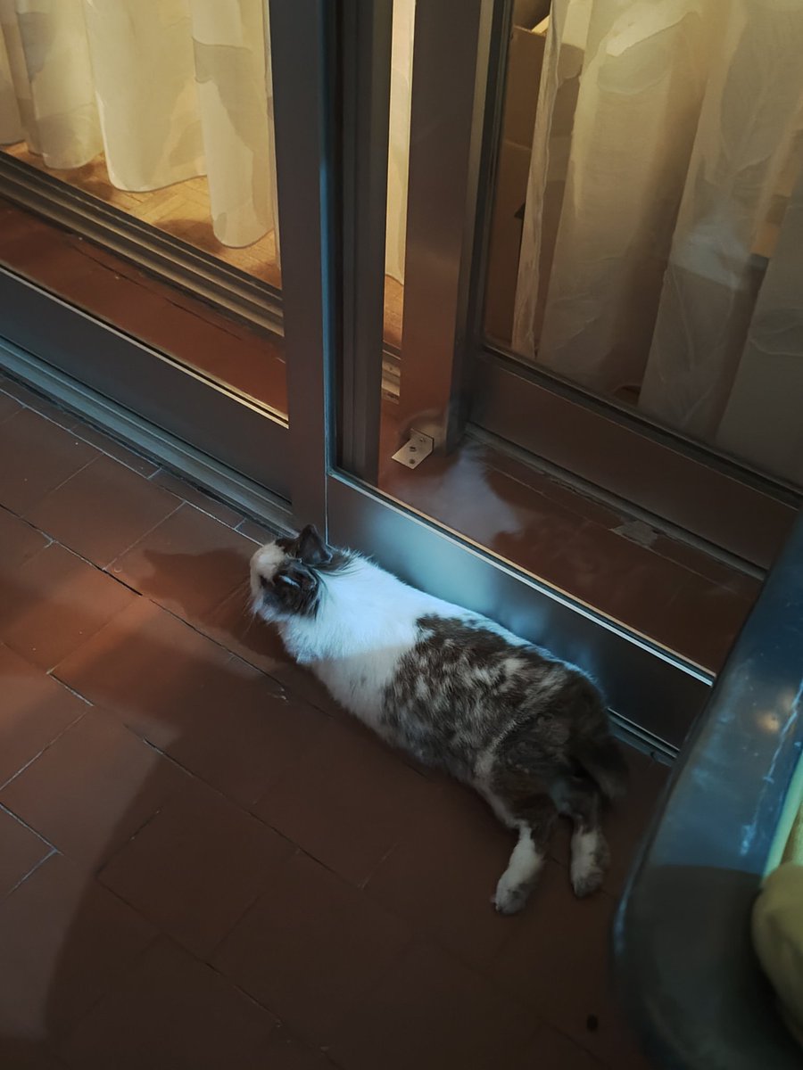 Max Lee Ray tweet media