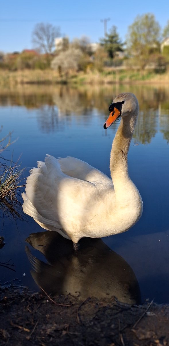 teamKNW's tweet image. Fishing Simulator in real life
 😎🎣🇵🇱
#FamilyTime #Fishing #saturday