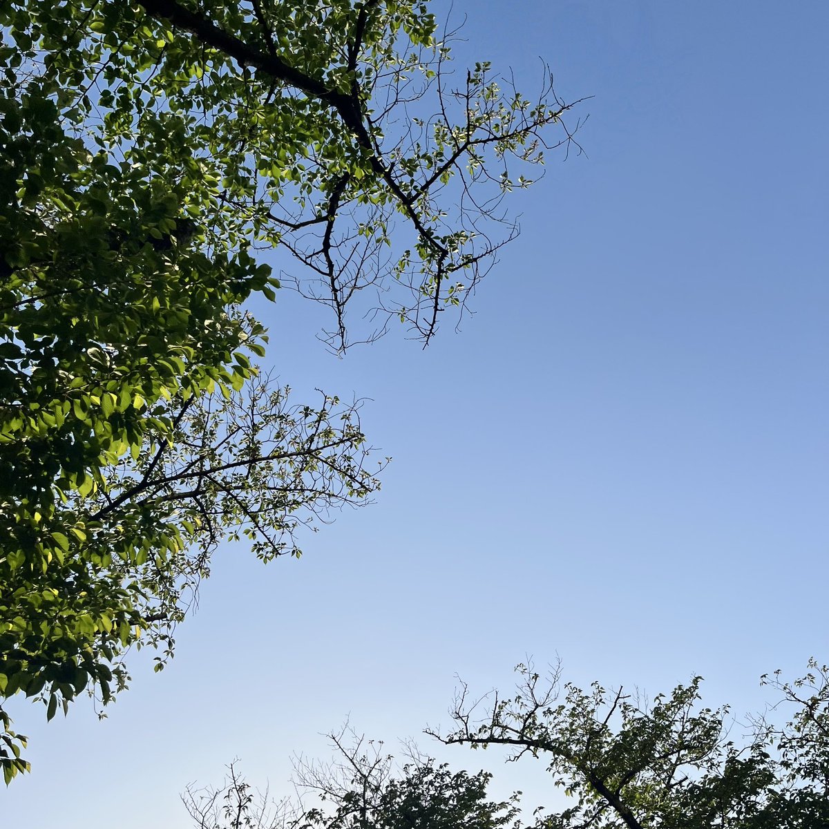 小針 清允 tweet media