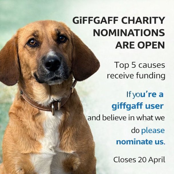 LisaClareRead2's tweet image. Are you a #GiffGaff customer? 
Giffgaff are donating to the top 5 charities &amp;amp; you can nominate @DogDeskAction 
Just 2 days left and they have dropped a place 😢Please vote for them via the link below 
⬇️ 

community.giffgaff.com/d/34561967-our…

Thanks for your support 🙏 
#dogs #Weekendvibes