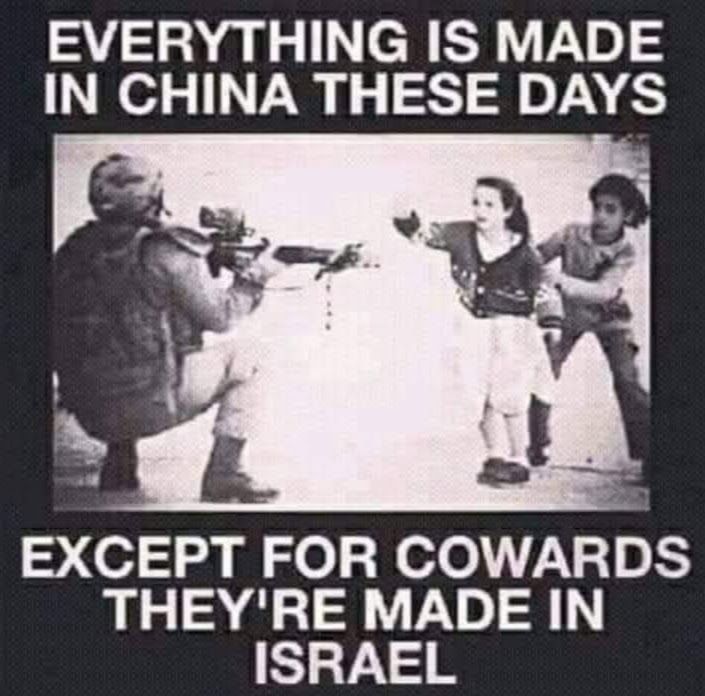 CarltheflPatriot tweet media