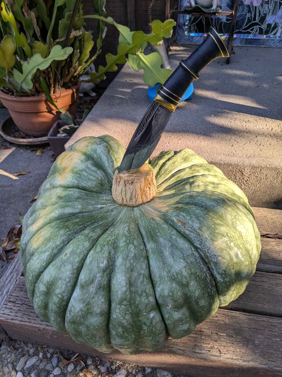 OutgoingMAIL (出信) tweet media