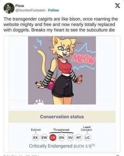 VickyFox tweet media