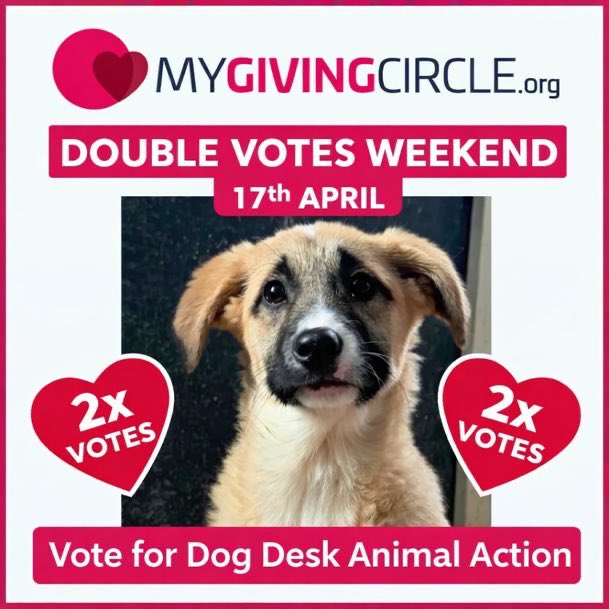 LisaClareRead2's tweet image. Please remember to vote once a week for @DogDeskAction 
This will help them secure a much needed grant to help the dogs in their care 🐶 
It’s DOUBLE VOTES WEEKEND too 🙏
Please Vote via link below :
⬇️⬇️

mygivingcircle.org/dog-desk-anima…

Thanks for your support 💕🐾

#WeekendVibes #dogs
