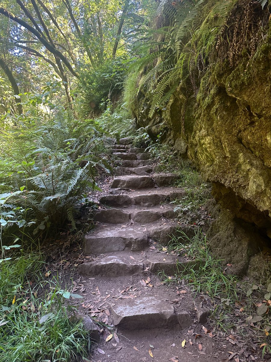 Ricky 𓆉🫑🍵 tweet media