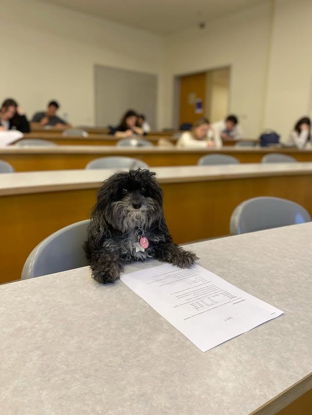 DESPITE the issues with this show and how good of a character Ilulu could be given that she has super trauma to work through it could be so good but noooo just sexualize her and nothing else