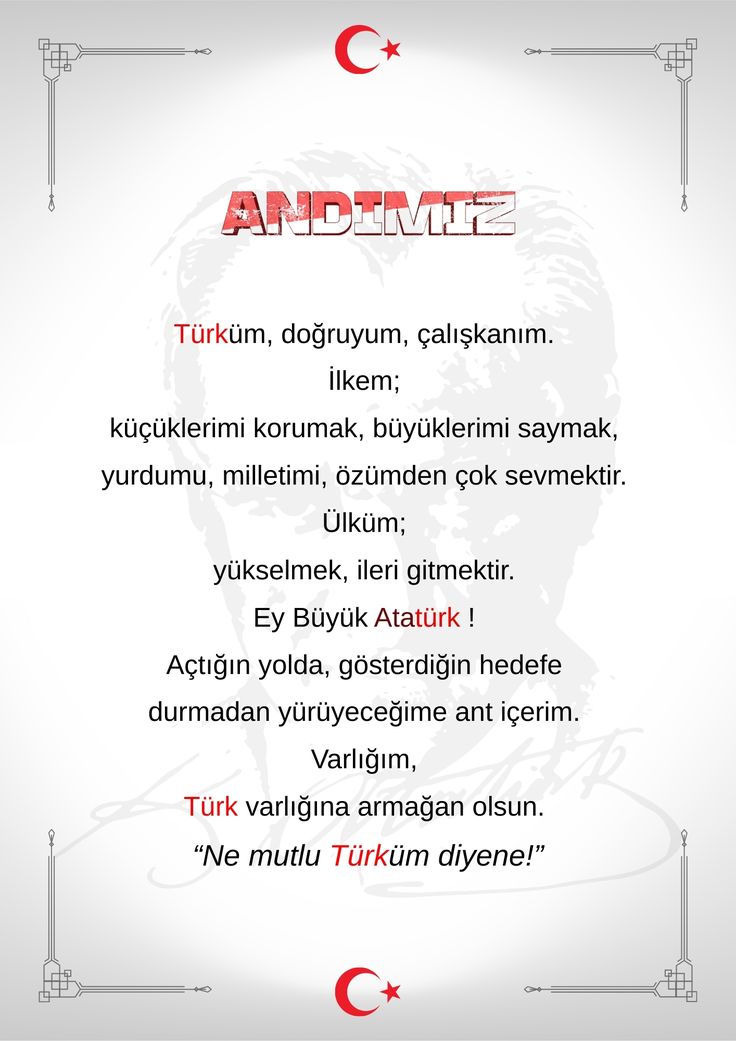 ★party girl neşve tweet media