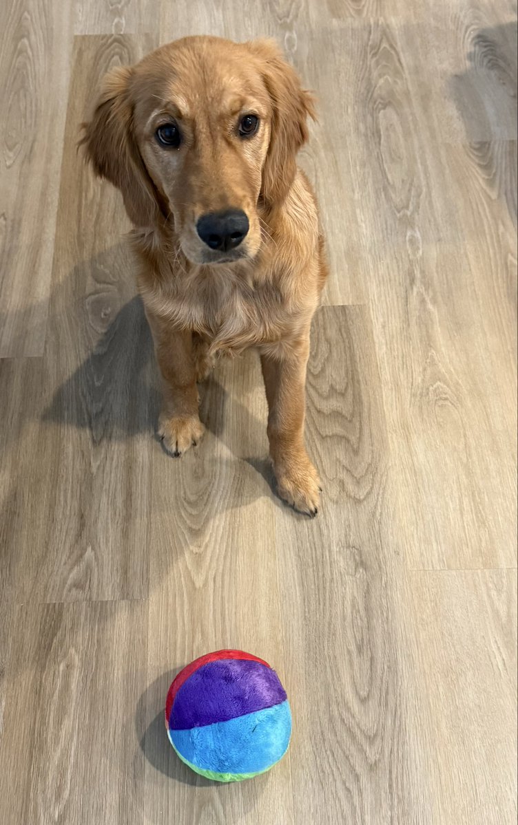 Kyle Theige tweet media