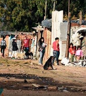 ✦✦✦ 𝙿𝚊𝚖𝚙𝚑𝚕𝚎𝚝𝚜 ✦✦✦ tweet media