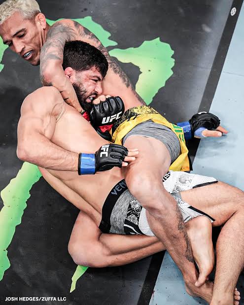 The Polls Guy 🎩 tweet media