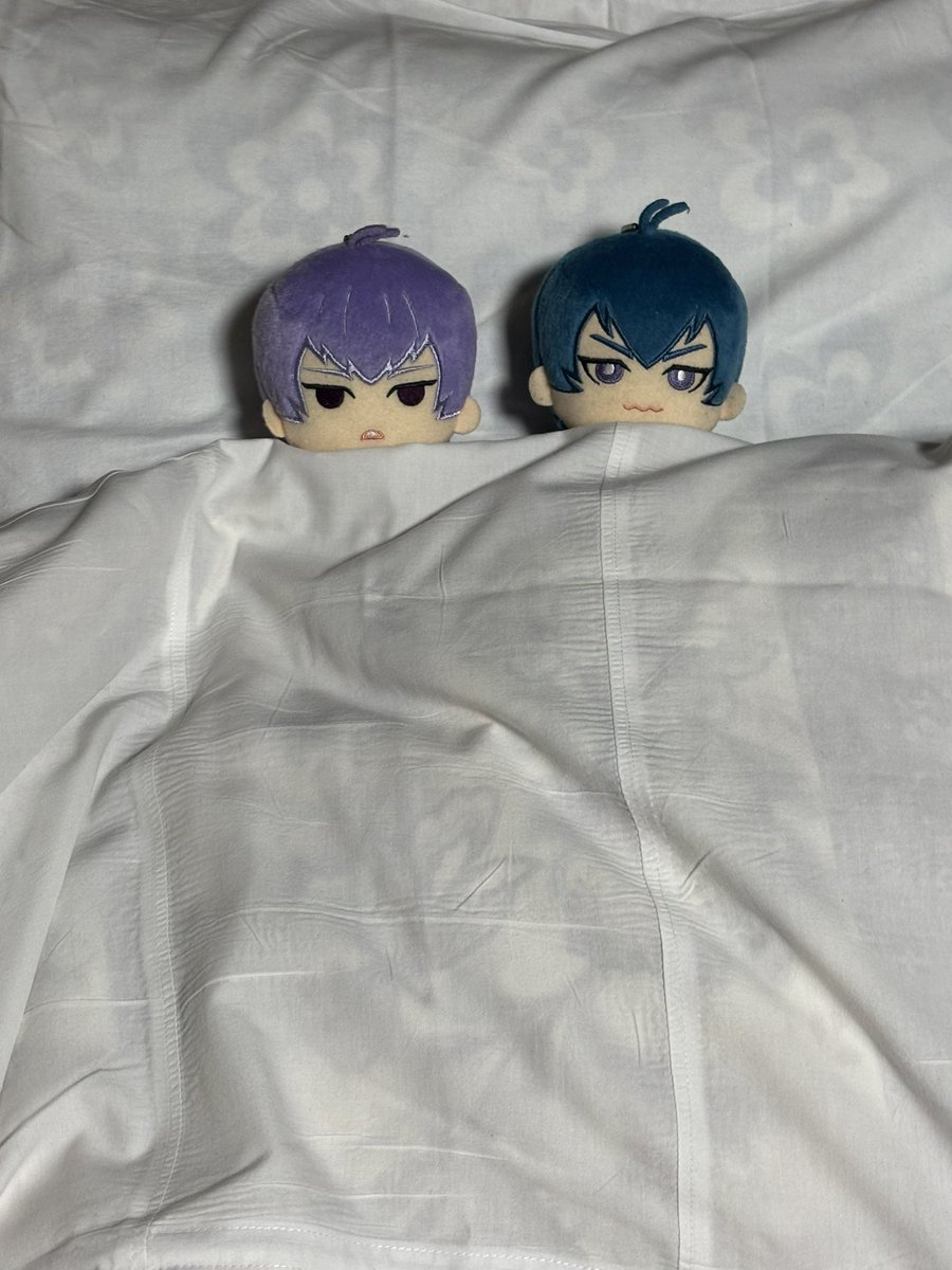 べりこ@5/6東2た20a tweet media