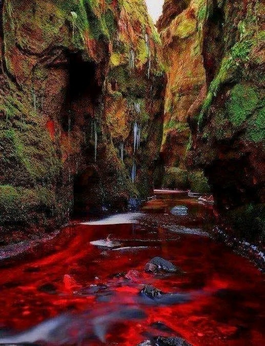 angelicaio81153's tweet image. The Blood Red River / The Carnock Burn Scotland 

The waters appears dark blood - red because it flows over red sandstone , creating a stark contrast with the vibrant green , moss covered walls of the 70 - foot deep Finnich Glen gorge 
#Landscape #photography #bloodriver