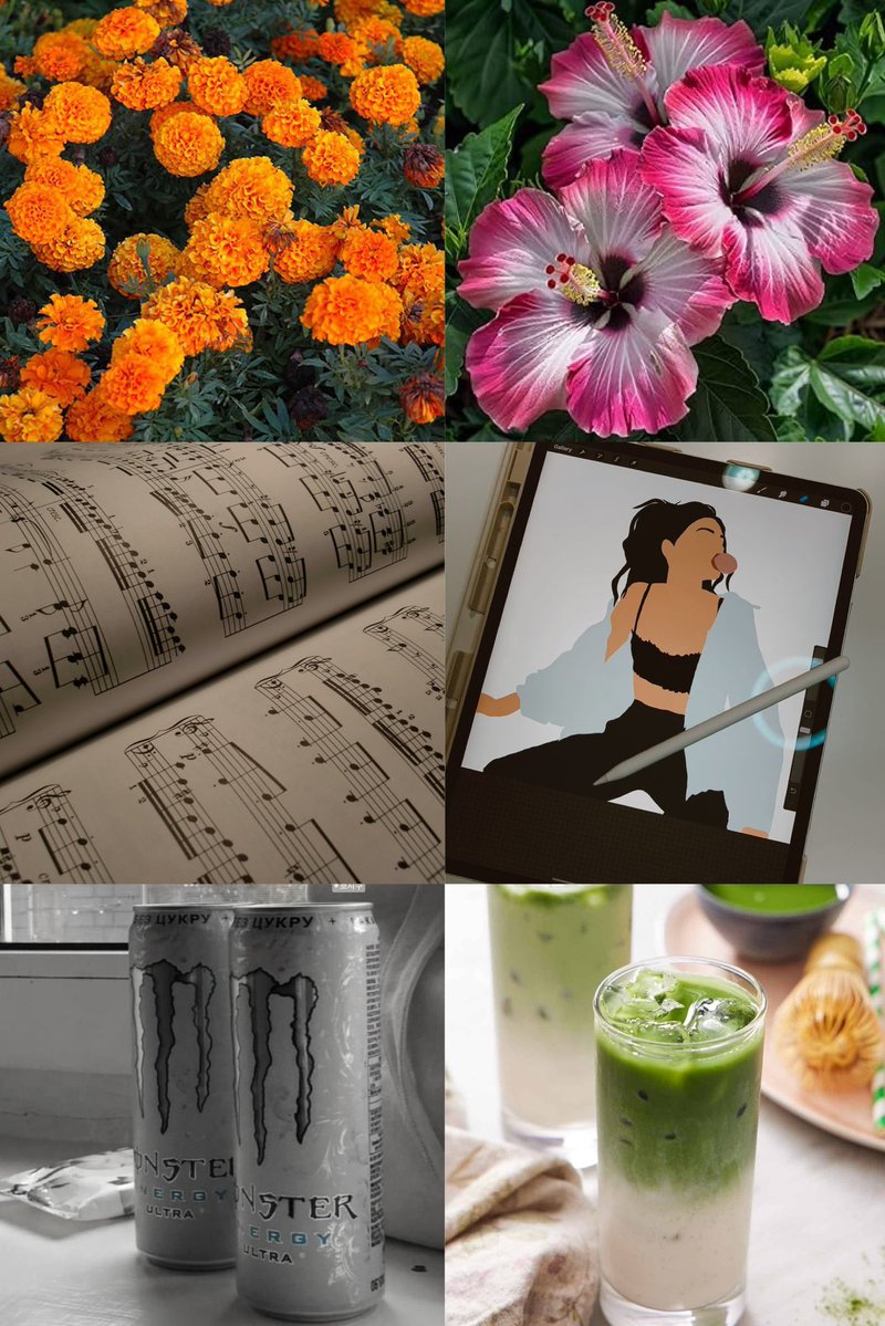 Kawaii Mochi Cosplay-PNG & Face Cam Streamer💎🌺 tweet media