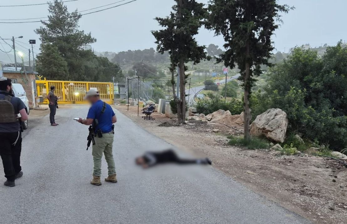 תורת לחימה- זמני tweet media