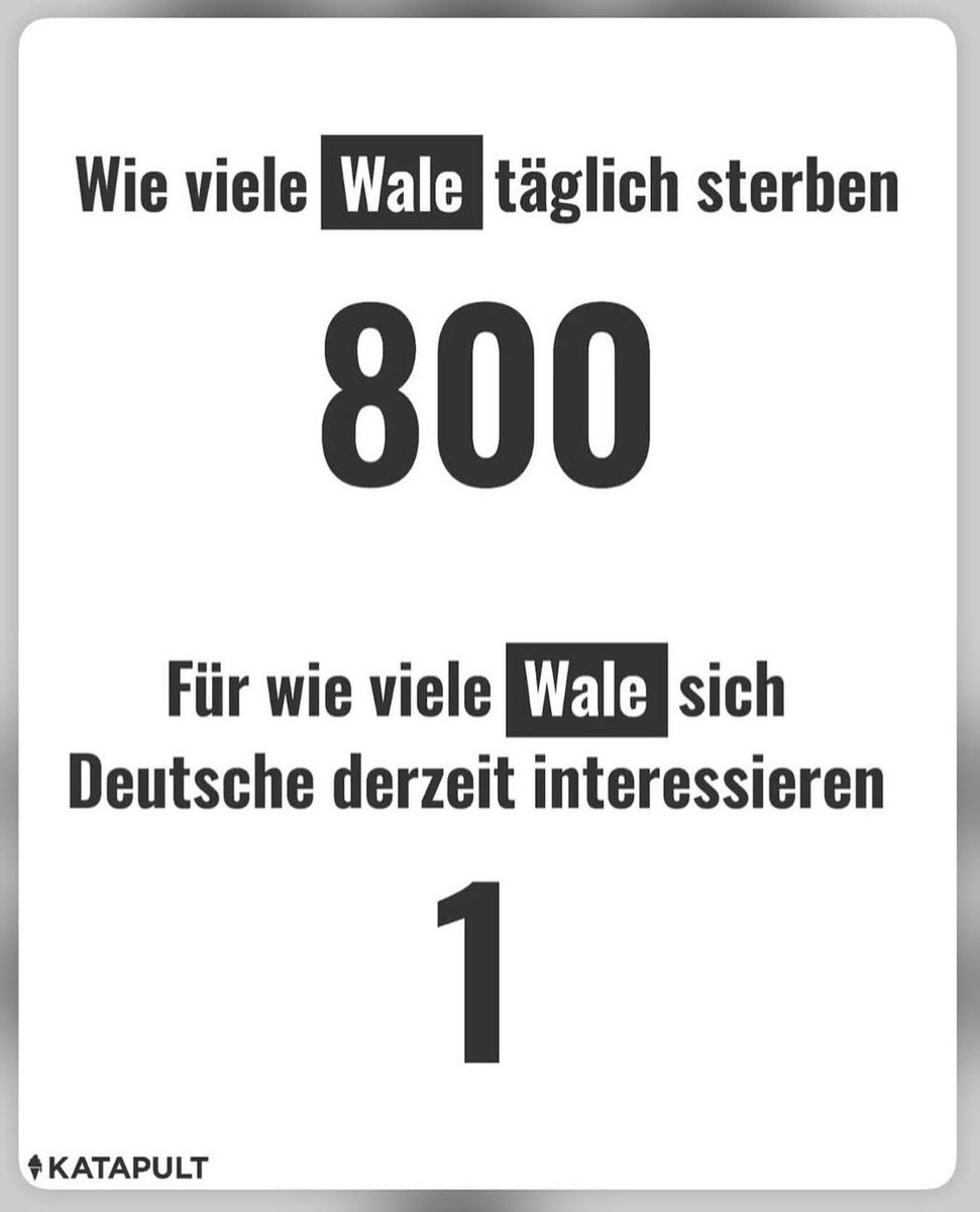 OrthopaeDenker tweet media