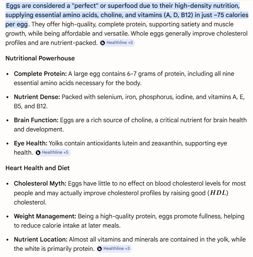 TrueFighter tweet media