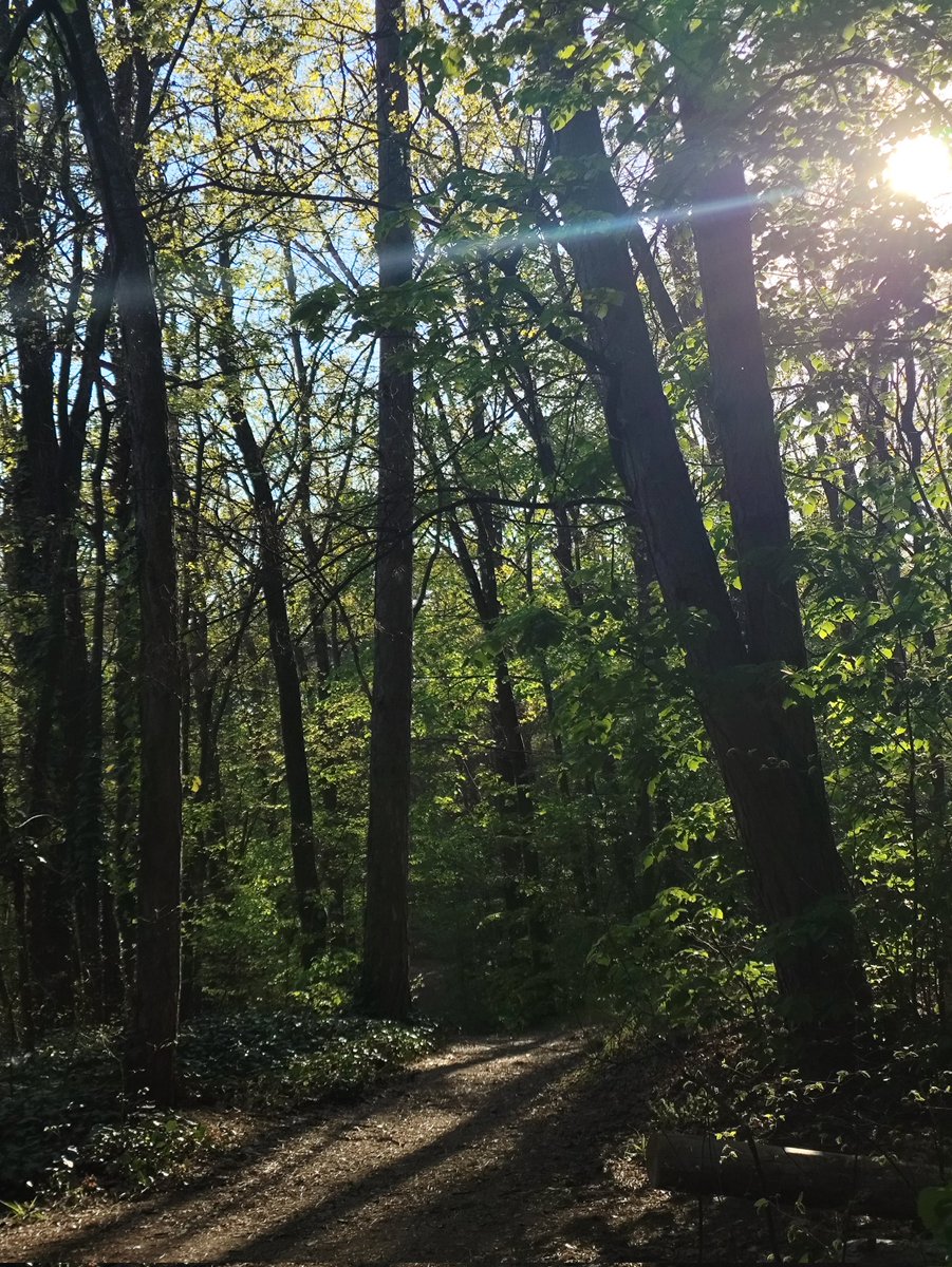 𝔰𝔳𝔞𝔟𝒷𝓁𝓊𝒹... tweet media