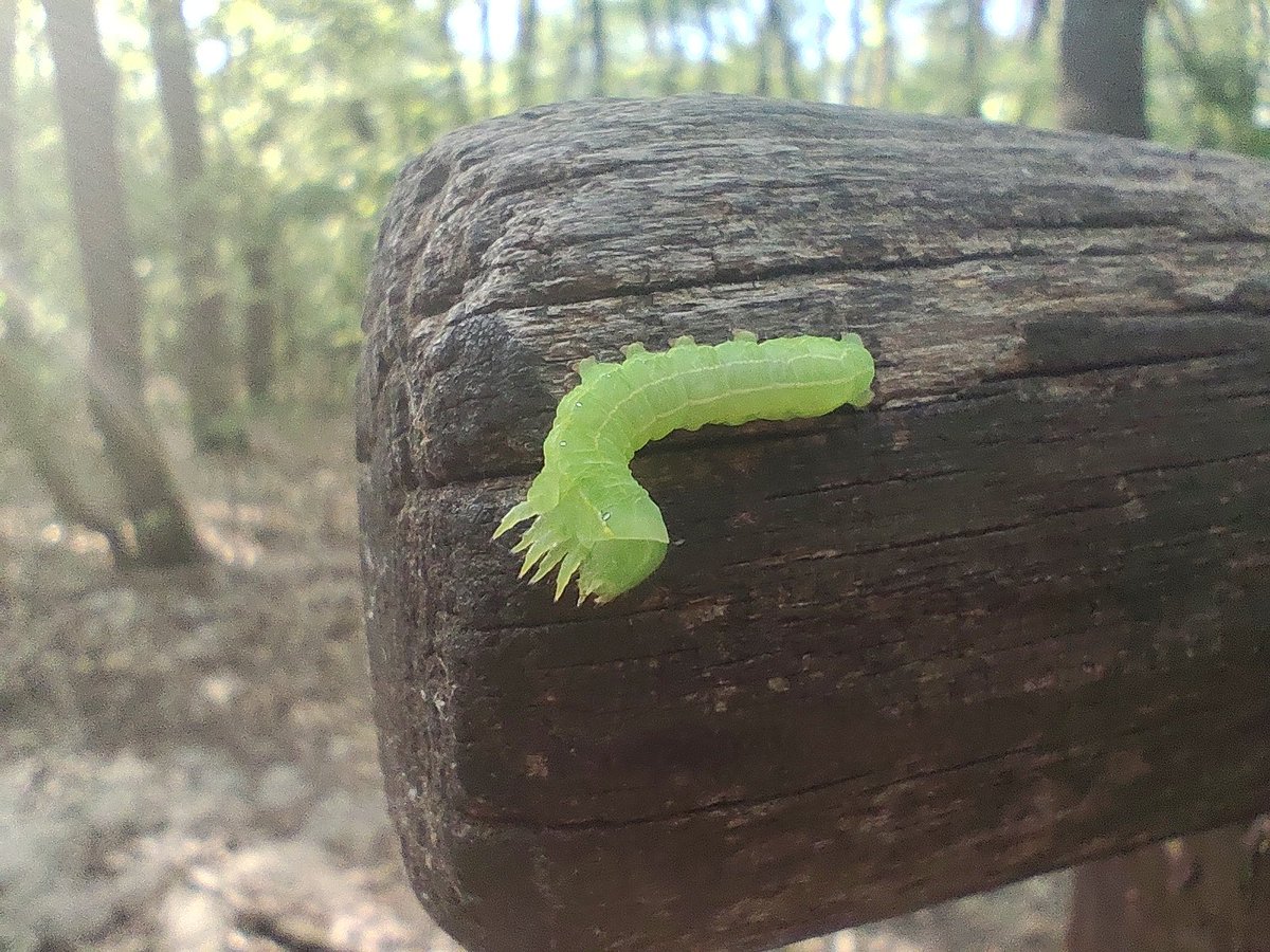 𝔰𝔳𝔞𝔟𝒷𝓁𝓊𝒹... tweet media