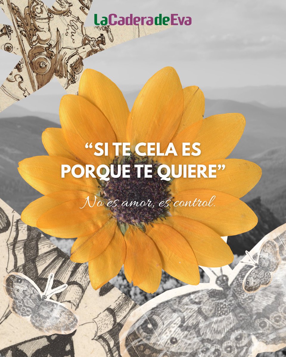 La Cadera de Eva tweet media