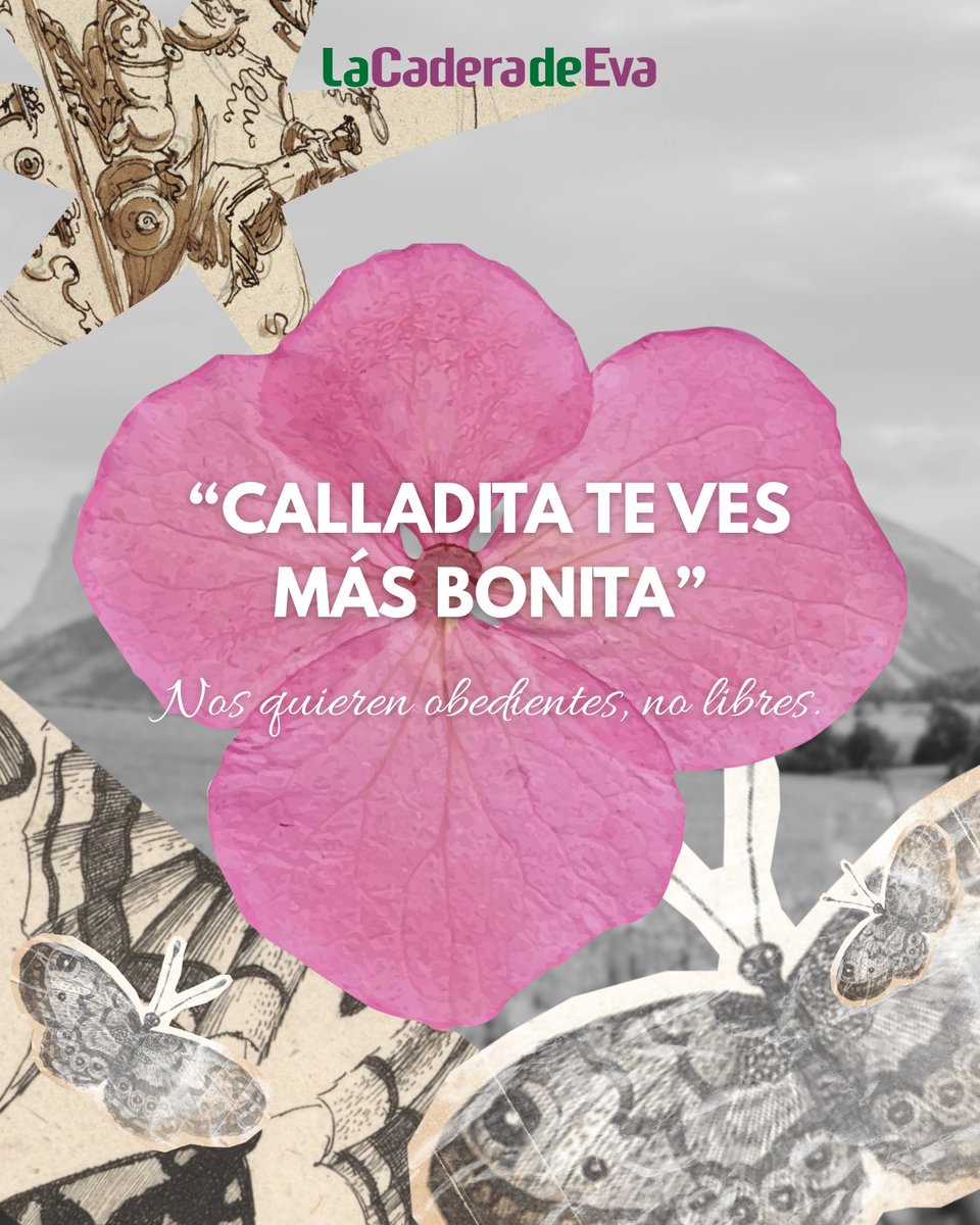 La Cadera de Eva tweet media