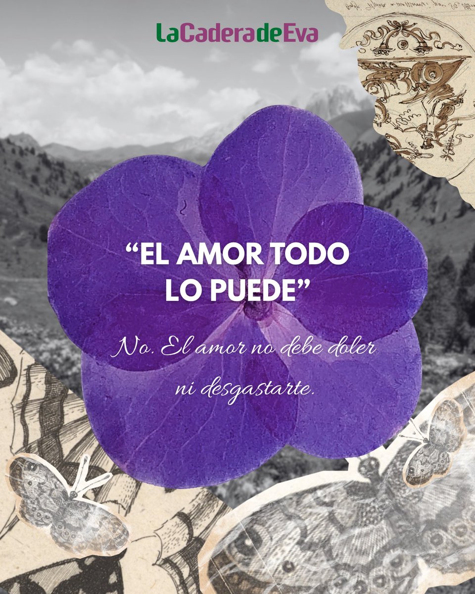 La Cadera de Eva tweet media