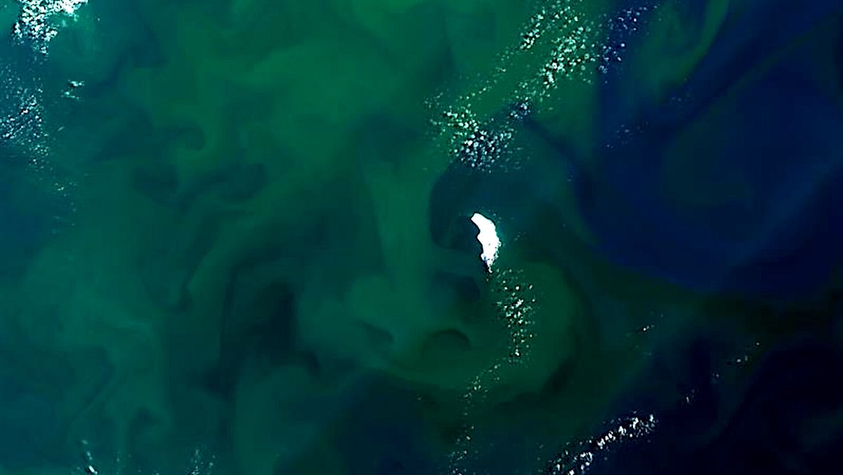 astrobiology's tweet image. Orbital Biosignature Assay: Antarctica’s Vanishing Sea Ice Transforms Marine Life
astrobiology.com/2026/04/orbita… #astrobiology #arctic #antarctic #biosignature