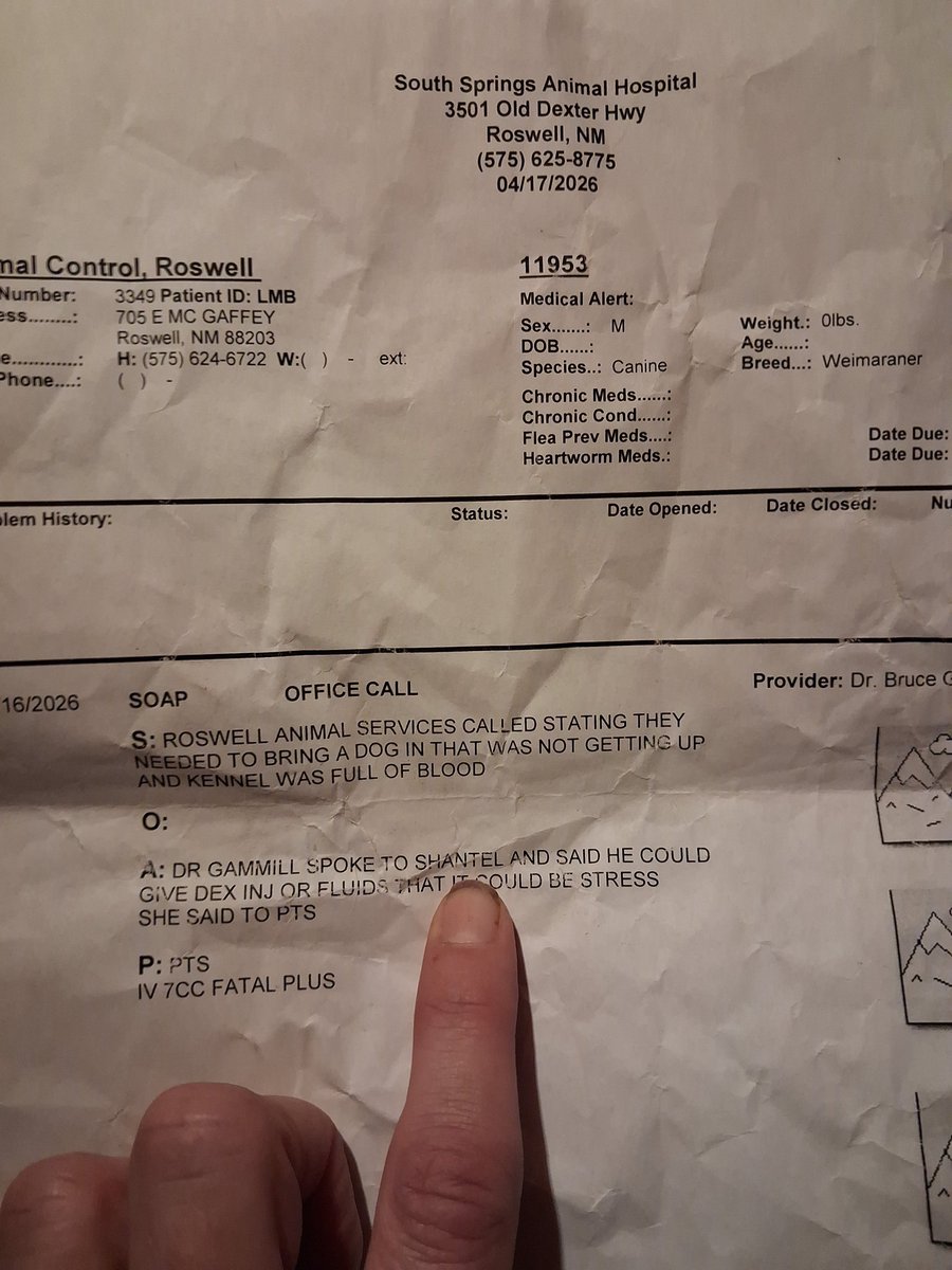 GypsyWolf tweet media