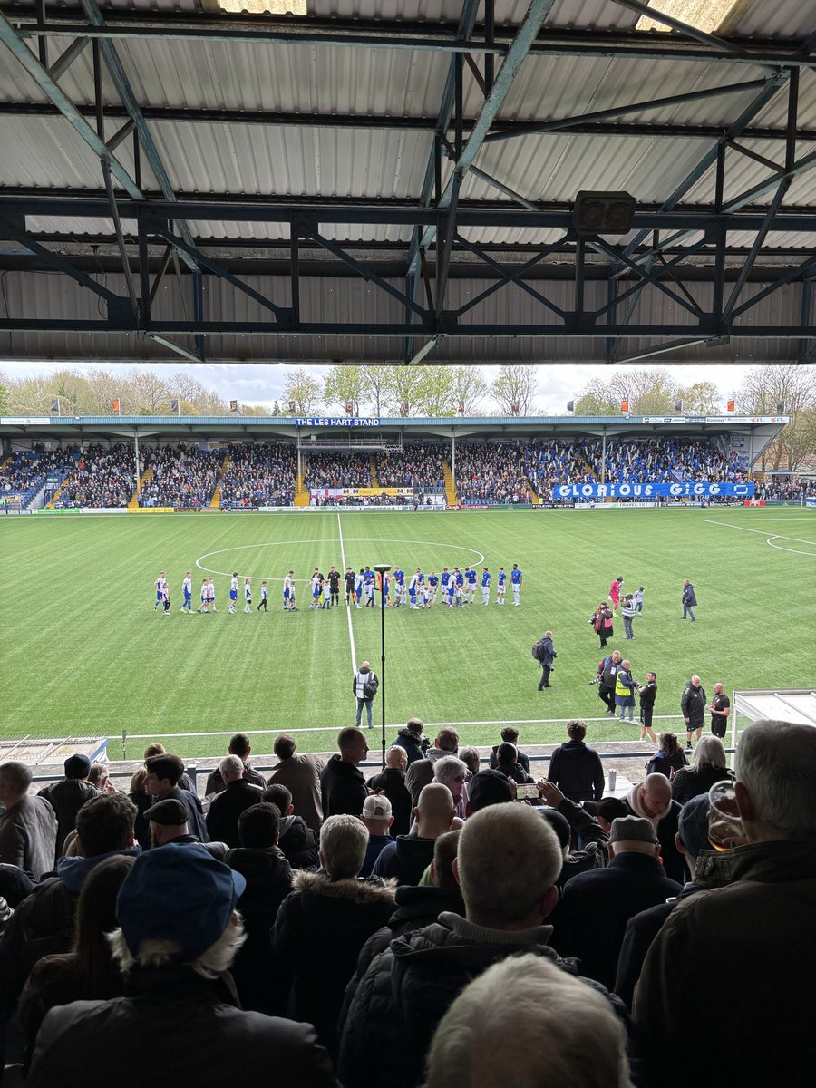 WHITE BLUE ARMY tweet media